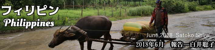 Philipines Philippines